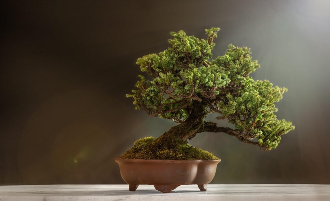 Jaki garnek do gotowania zupy