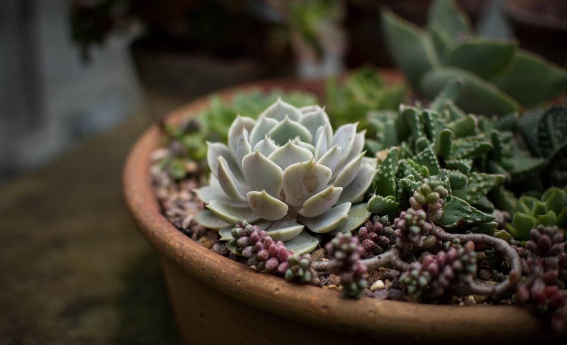 Garnek do gotowania na parze na co zwrócić uwagę