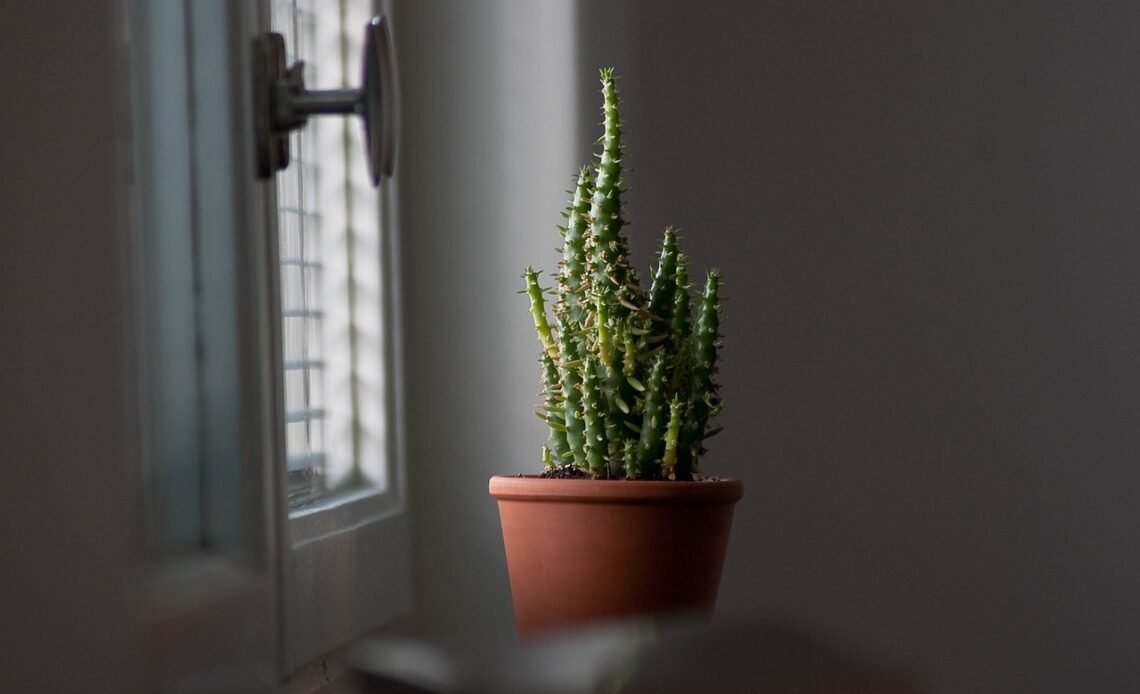 Jaki garnek do gotowania bigosu