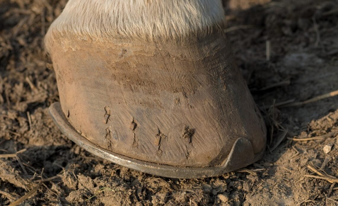 Jakie gwoździe do sznurkowania