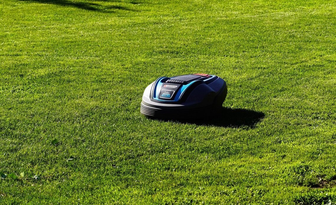 Jaka kosa spalinowa do 1000 zł